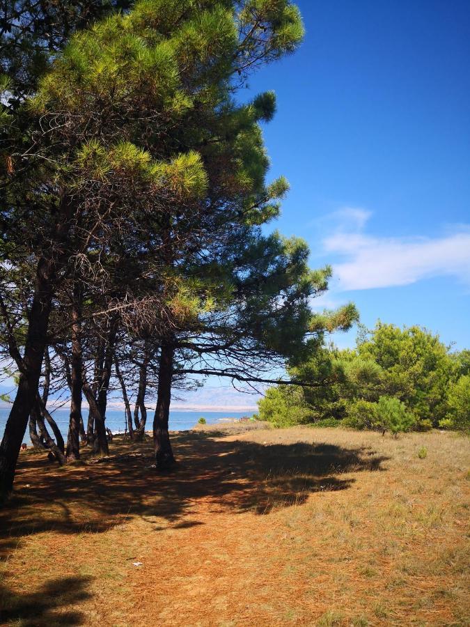 Apartmani Novak - Vir Buitenkant foto