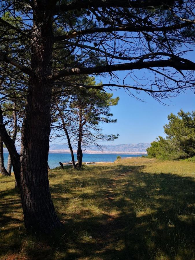 Apartmani Novak - Vir Buitenkant foto